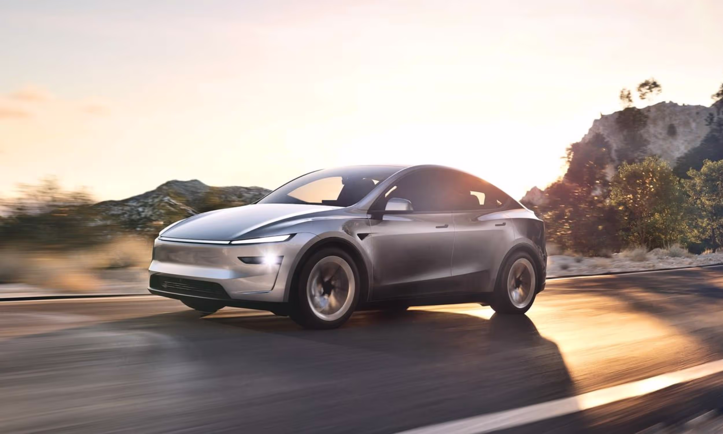 Tesla Model Y BEV Standard RWD